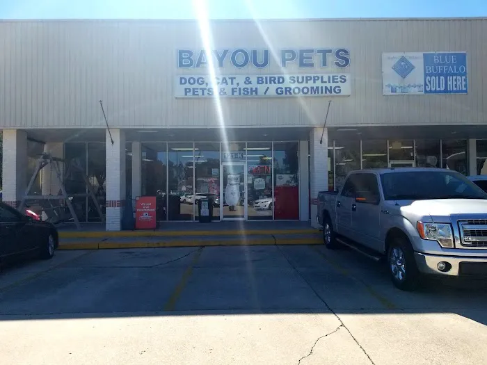 Bayou Pets 3