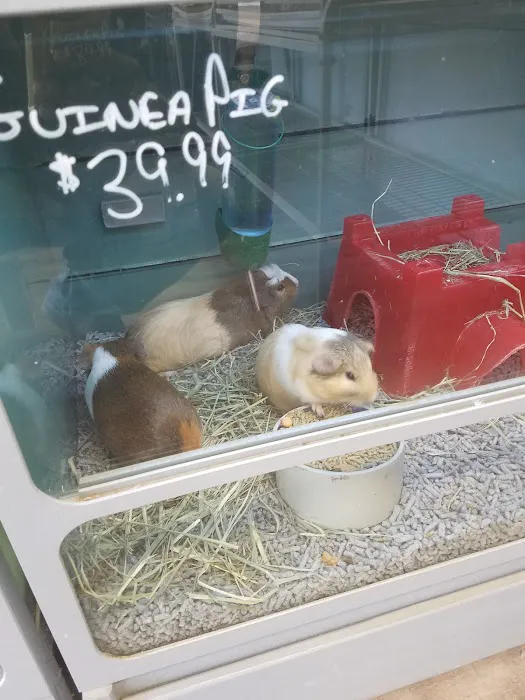 Bayou Pets 9