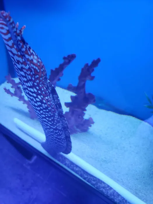 Southwest Reef Co LLC 1