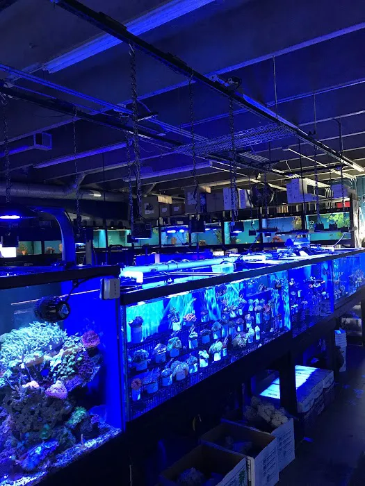 Southwest Reef Co LLC 3