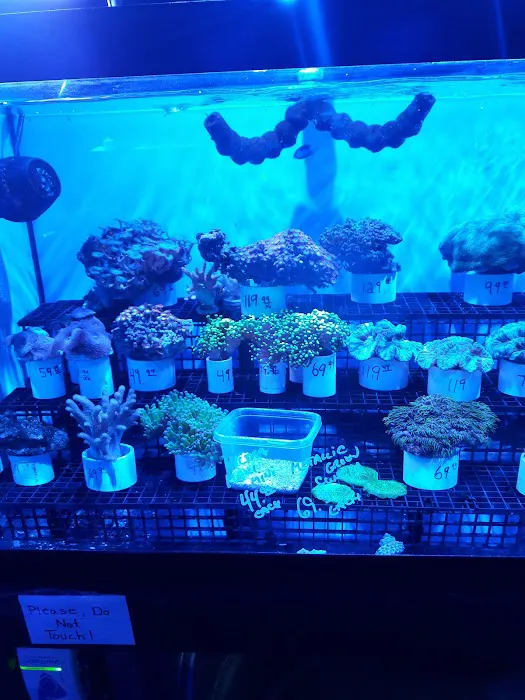 Southwest Reef Co LLC 7