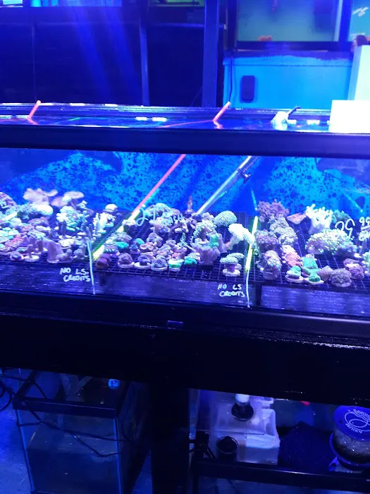 Southwest Reef Co LLC 4