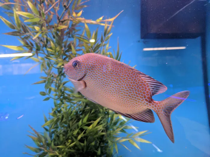 Southwest Reef Co LLC 9