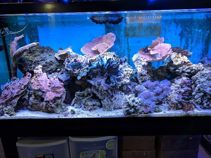 Southwest Reef Co LLC 10