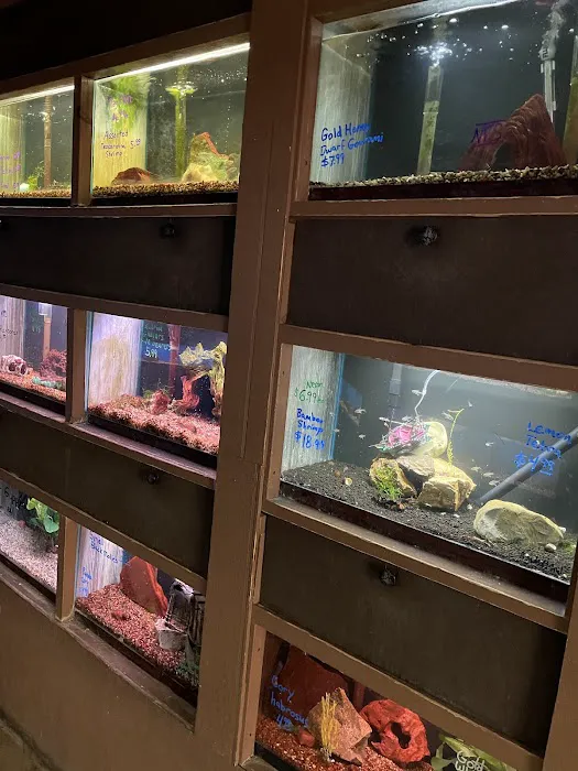 Clark's Pet Emporium 2