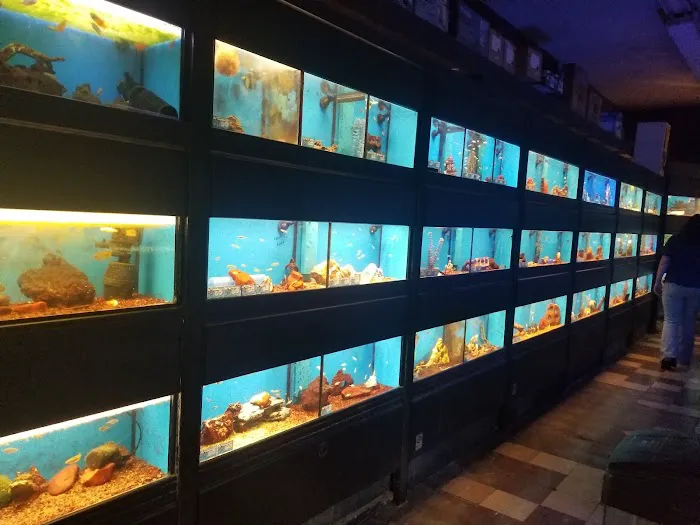 Clark's Pet Emporium 6