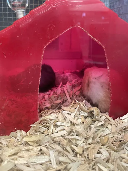Clark's Pet Emporium 4