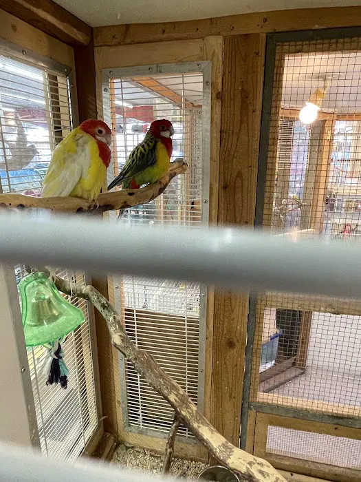 Clark's Pet Emporium 5