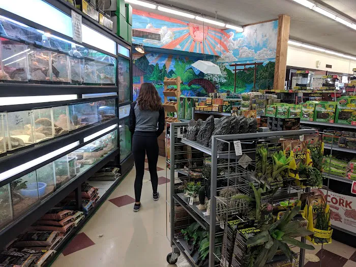 Clark's Pet Emporium 3