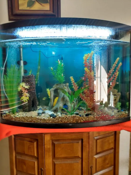 Clark's Pet Emporium 9