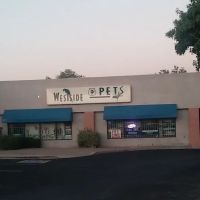Westside Pets ico