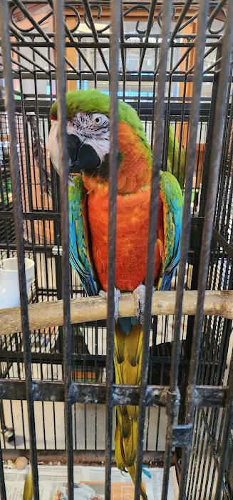 Westside Pets 9