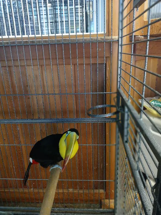 Westside Pets 4