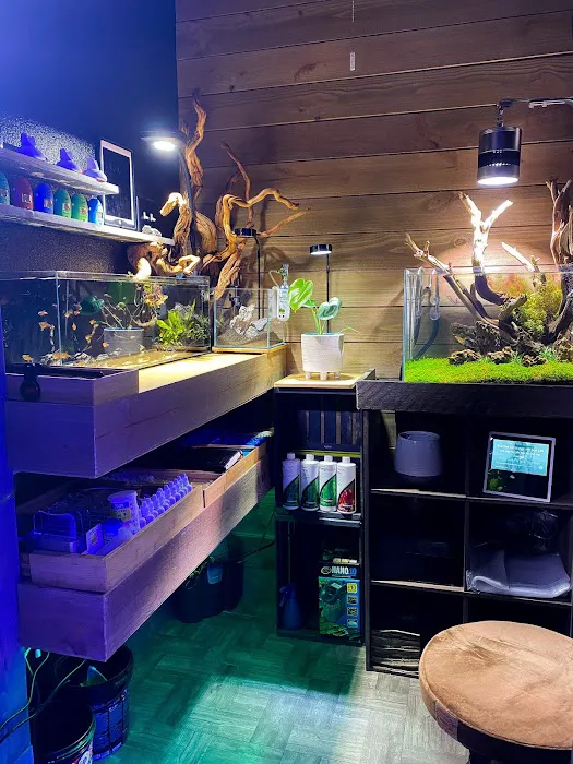 Reef-Licious LLC 3