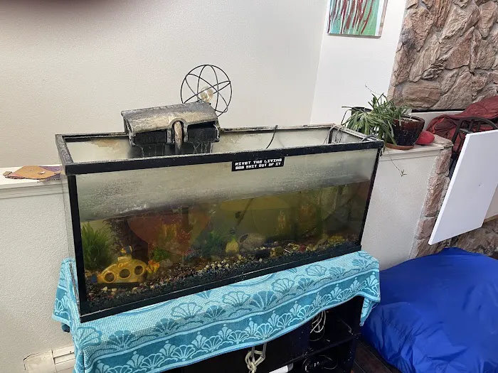 Reef-Licious LLC 9