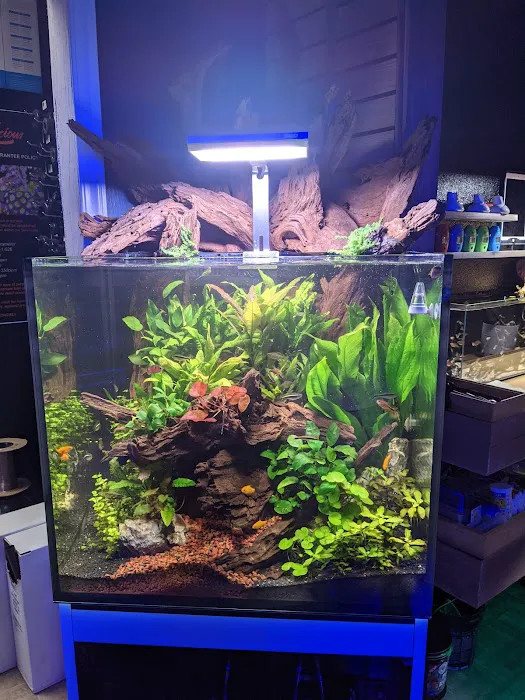 Reef-Licious LLC 7