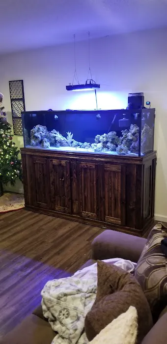 Reef-Licious LLC 5
