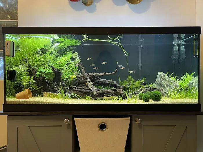 Reef-Licious LLC 4