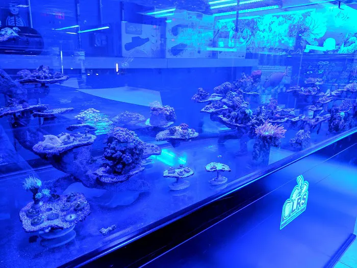 Reef-Licious LLC 8