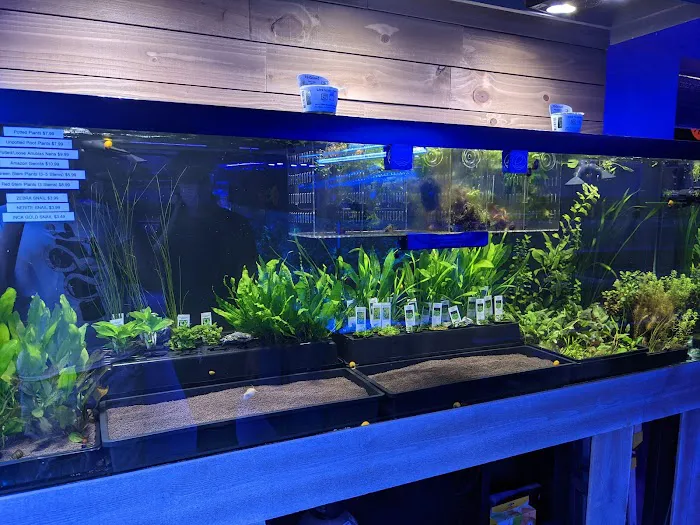 Reef-Licious LLC 6