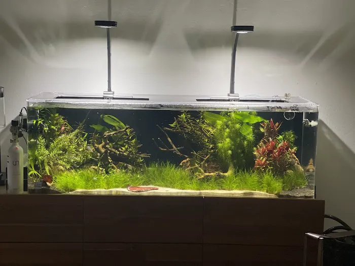 Reef-Licious LLC 10