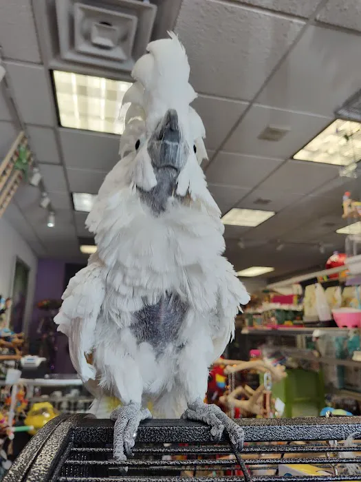 Birds of a Feather Parrot Pantry 1