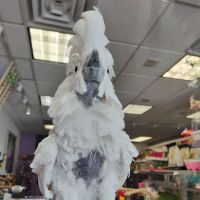 Birds of a Feather Parrot Pantry ico