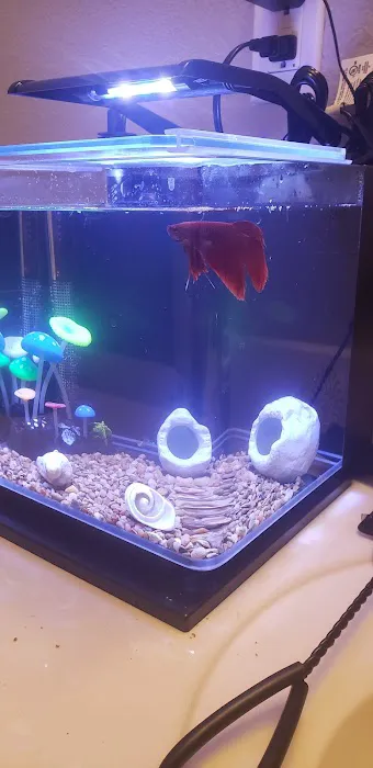 Petco 4