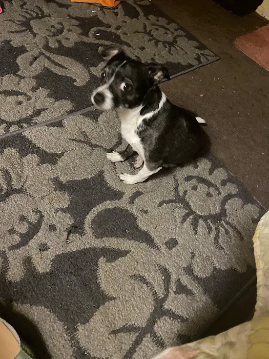 Petco 3