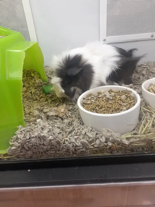 Petco 8