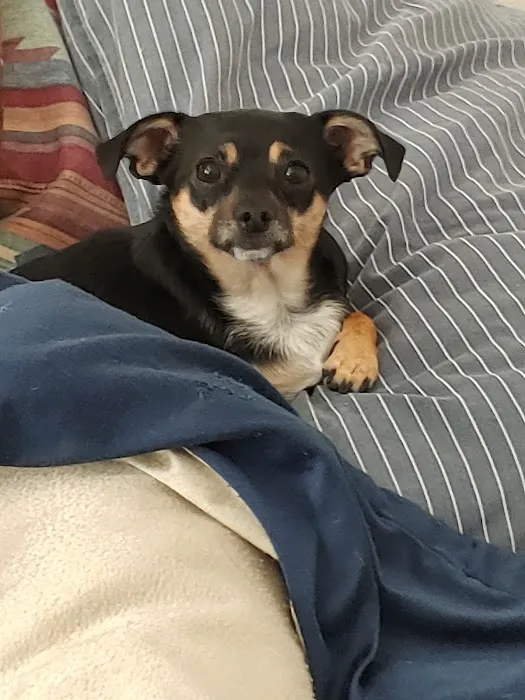 Petco 10