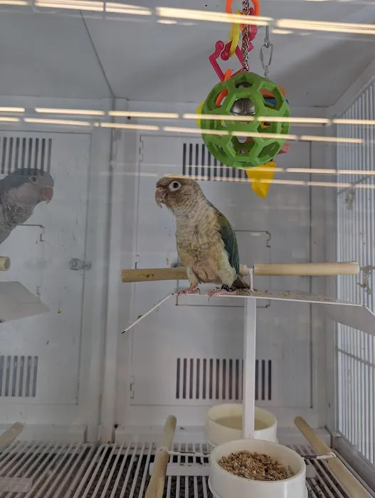 Petco 4