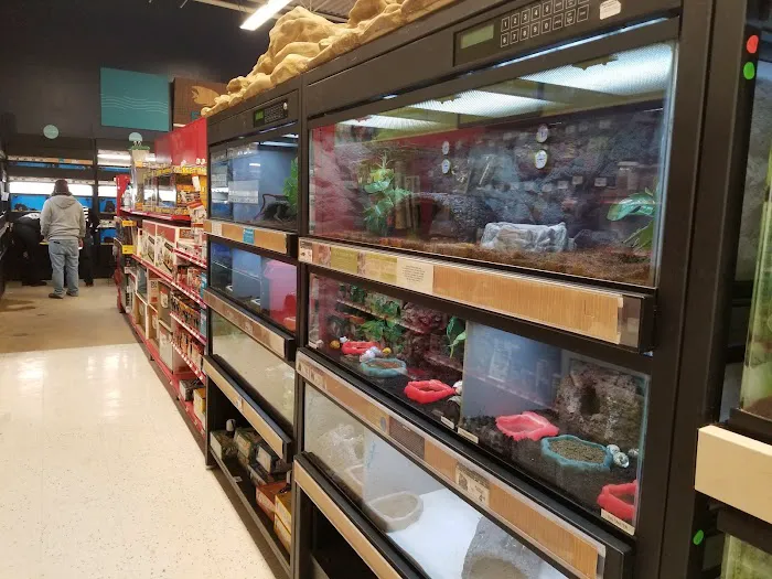 Petco 7