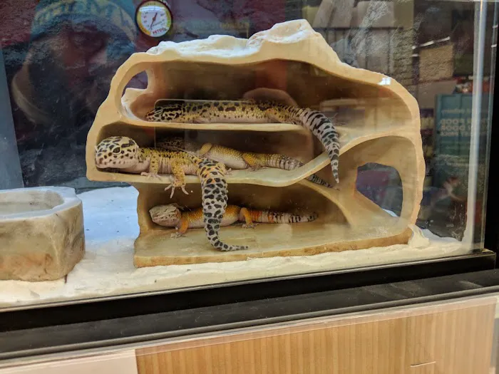 Petco 8