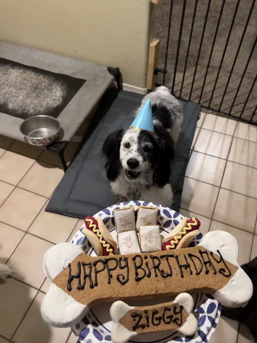 Three Dog Bakery Albuquerque 1