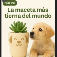 PawPlant ico
