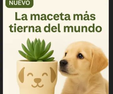PawPlant