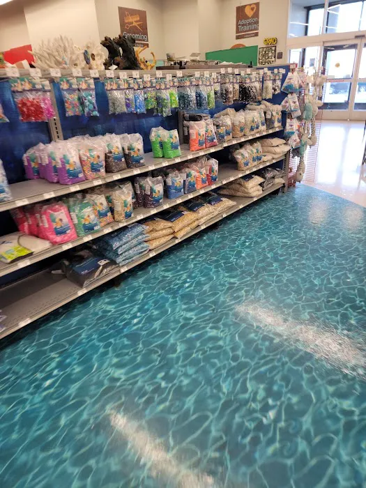 Petco 3