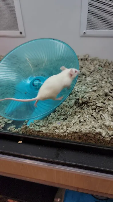 Petco 1