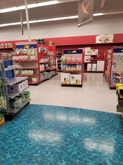Petco 6