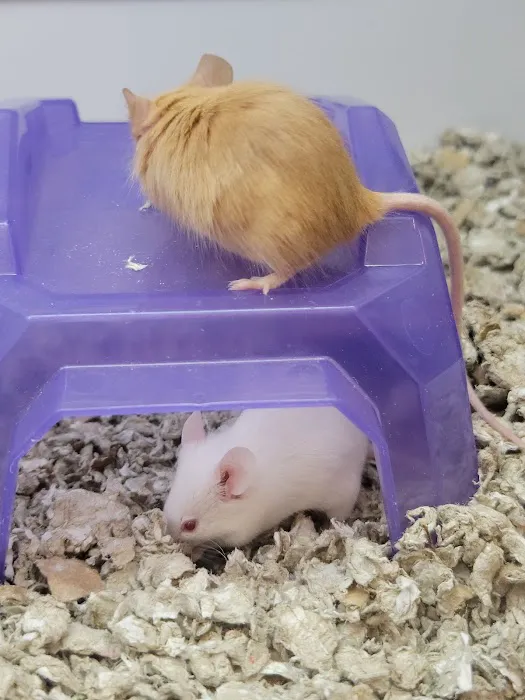 Petco 8