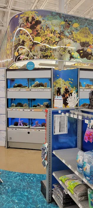 Petco 10