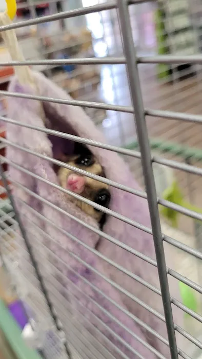 Petland Albuquerque 1