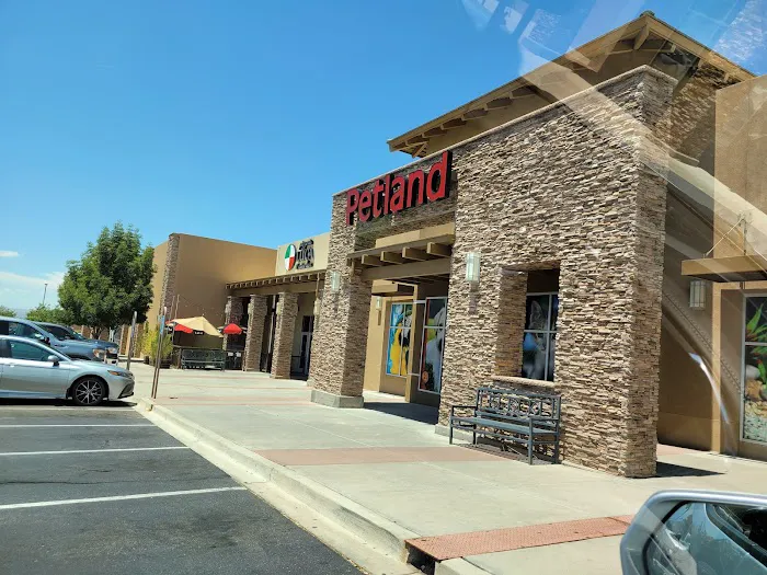 Petland Albuquerque 3