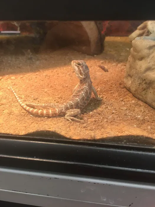 Petland Albuquerque 5