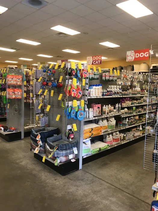 Petland Albuquerque 2