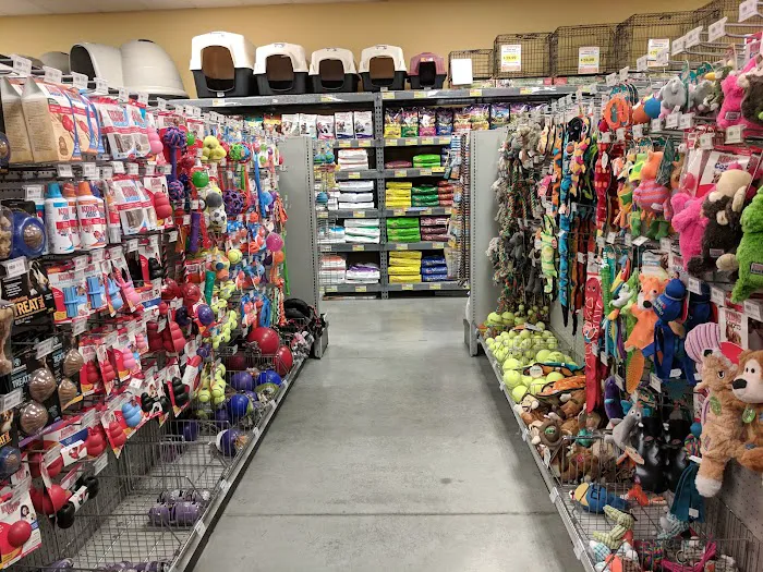 Petland Albuquerque 6
