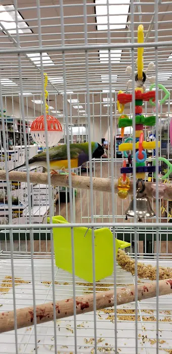 Petland Albuquerque 7