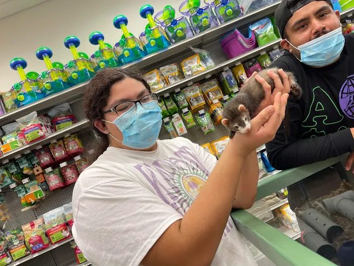 Petland Albuquerque 9