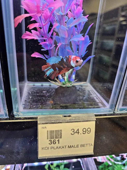Petland Albuquerque 8